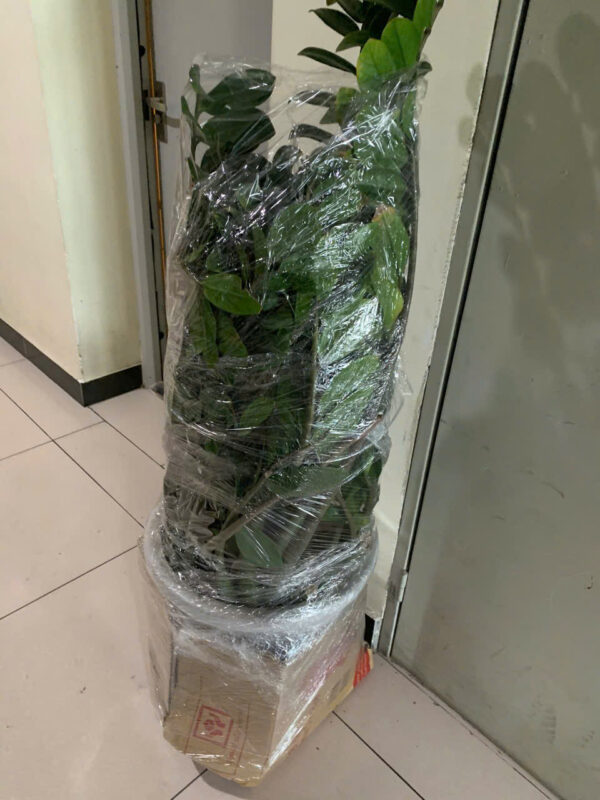 Toàn Cường – Dịch vụ vận chuyển